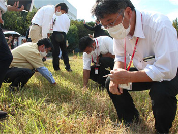 専門ガイドによる、動植物の説明