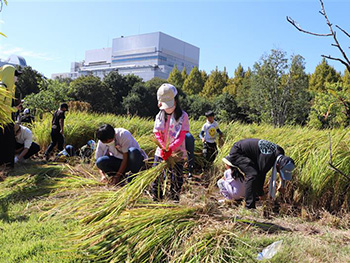 農作業体験イベントの開催