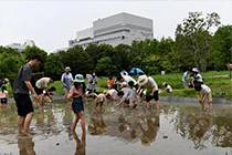 ビオトープエリアでのイベント