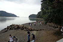 海岸清掃活動