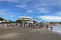 海岸クリーン活動を実施