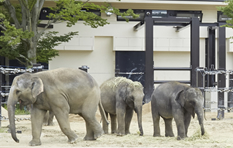 写真 - 京都市動物園