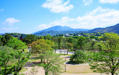 写真 - 岡崎公園・東山