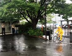 傘さし運転立哨