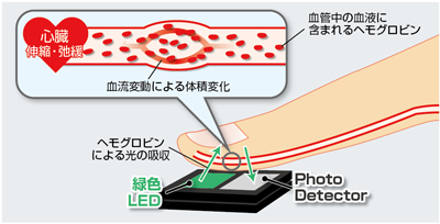 脈波センサ