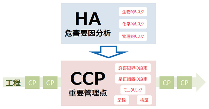 HACCP 危害要因分析と重要管理点