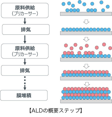 ALDの概要ステップ