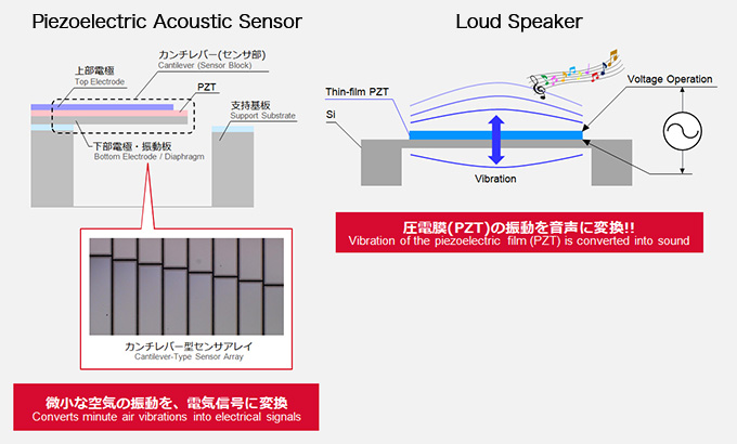 Piezoelectric Acoustic Sensor Loud Speaker and 