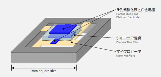 Sensor Structure