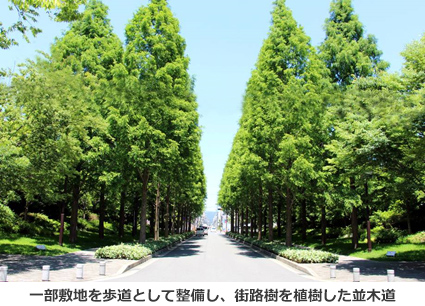 一部敷地を歩道として整備し、街路樹を植樹した並木道