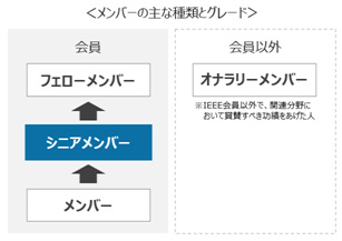 メンバーの主な種類とグレード