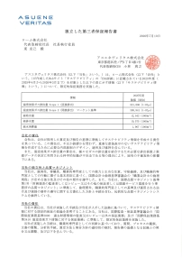 独立保証報告書